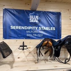 Serendipity Stables - They are very friendly and love kids and families.