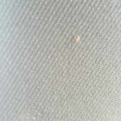 Lincoln Yellow Cab - Bed bugs!!!