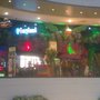 Playland