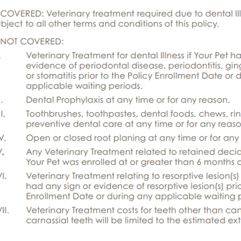 Trupanion - VI specifically addresses resorptive lesions. - Pet Insurance Near Me - Seattle, Washington Trupanion - VI specifically addresses resorptive lesions. - Pet Insurance Near Me - Seattle, Washington
