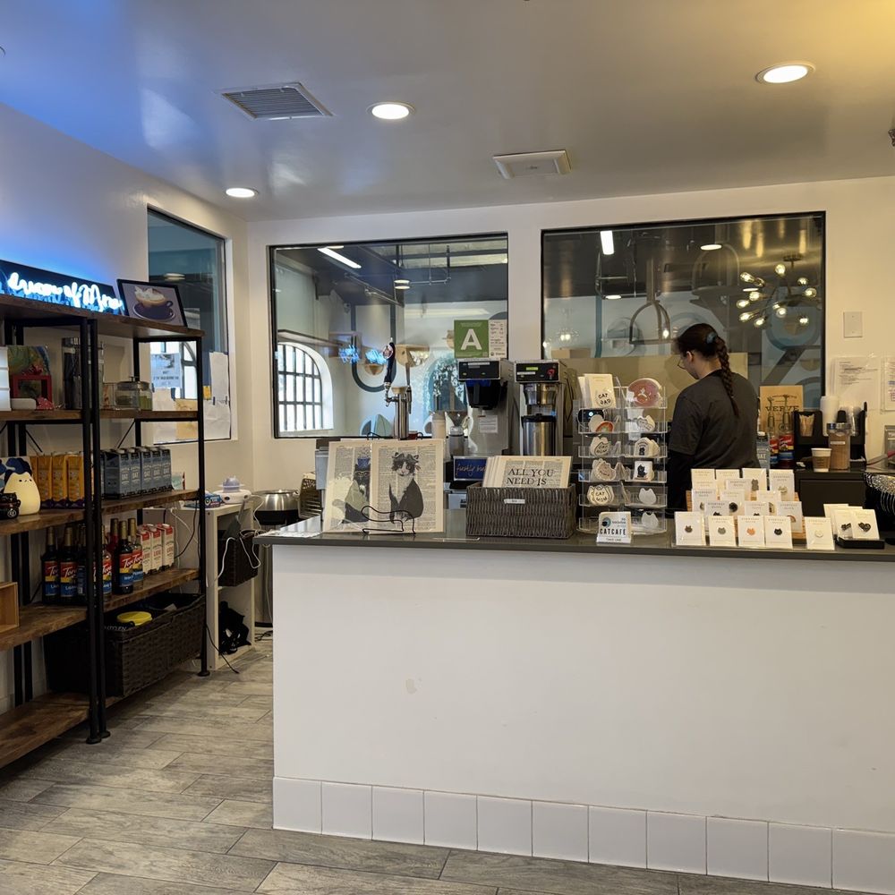 CatCafe Lounge - Counter - Community Service/Non-Profit Near Me - Marina del Rey, California CatCafe Lounge - Counter - Community Service/Non-Profit Near Me - Marina del Rey, California