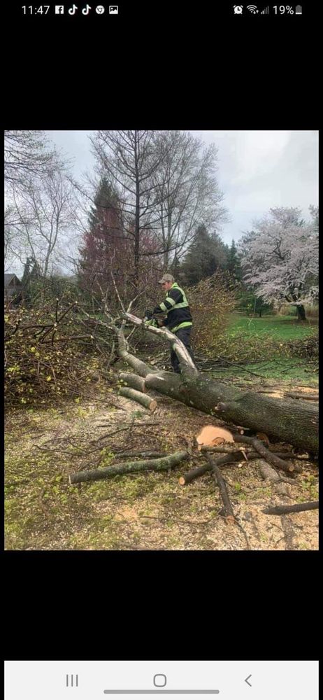 The Buckeye Handyman - tree service in Columbus, OH