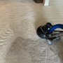 Photo of Momentum Carpet & Floor Care