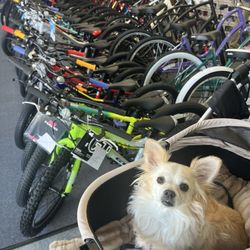 California Sports & Cyclery