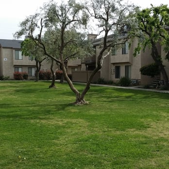 Laurel Tree Apartments - Apartments Near Me - Bakersfield, California