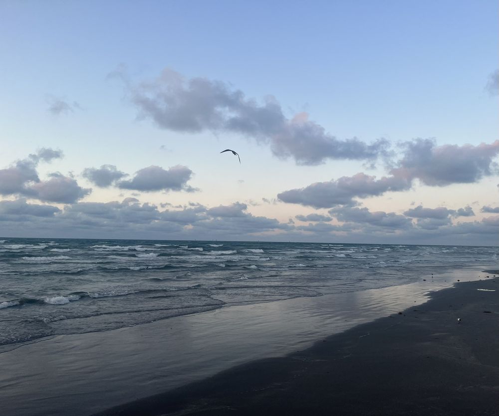 Slide of Rogue Systems Solar and Roofing Solutions