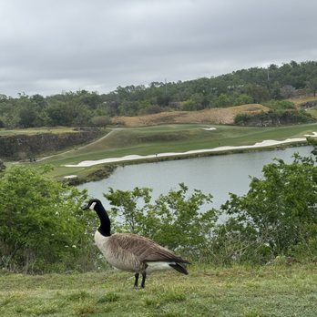 Black Diamond Ranch - Golf Lessons Near Me - Lecanto, Florida Black Diamond Ranch - Golf Lessons Near Me - Lecanto, Florida