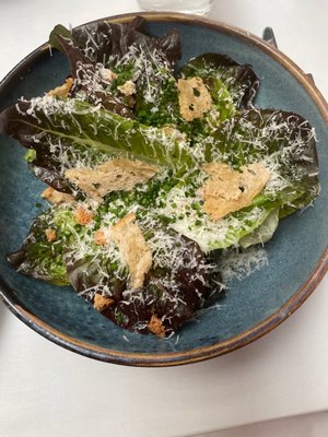 Bluebird Chelsea by null