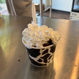 Double Scoop