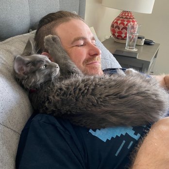 Noble Manes Cattery - Helping his daddy work from home. Somewhere around 15 weeks. - Pet Stores Near Me - Lancaster, California