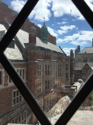 Yale Law School by null