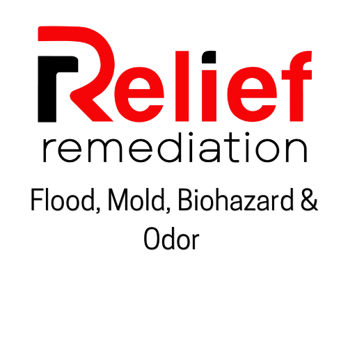 Relief Remediation - mold inspector in Marietta, GA