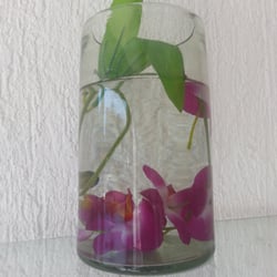Florería You and Me - Orquidea