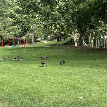 Allen Pond - Parks Near Me - Bowie, Maryland