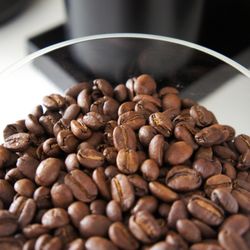 Palmacera Coffee