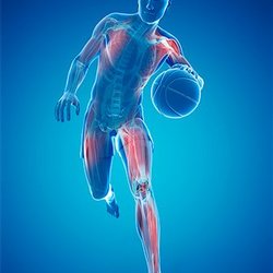 Leverage Medical Massage & Wellness - Sports injury or not we're here to help you.