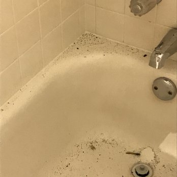 Uptown Dallas Properties - Mold and black bacteria were spread all over the house. No clean up was done. - Property Management Near Me - Dallas, Texas Uptown Dallas Properties - Mold and black bacteria were spread all over the house. No clean up was done. - Property Management Near Me - Dallas, Texas