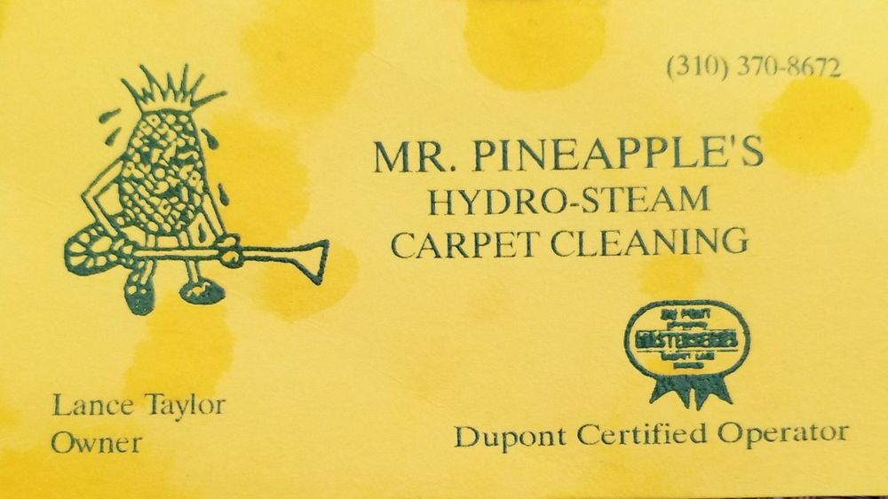 MR. PINEAPPLE’S HYDROSTEAM CARPET CLEANING Updated August 2024 18