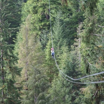 Alaska Rainforest Sanctuary - Tours Near Me - Ketchikan, Alaska Alaska Rainforest Sanctuary - Tours Near Me - Ketchikan, Alaska