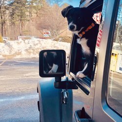 Shultz's Guest House - Getting gas with mommy