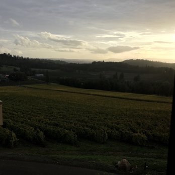 Willamette Valley Vineyards - Sunset - Wineries Near Me - Turner, Oregon Willamette Valley Vineyards - Sunset - Wineries Near Me - Turner, Oregon