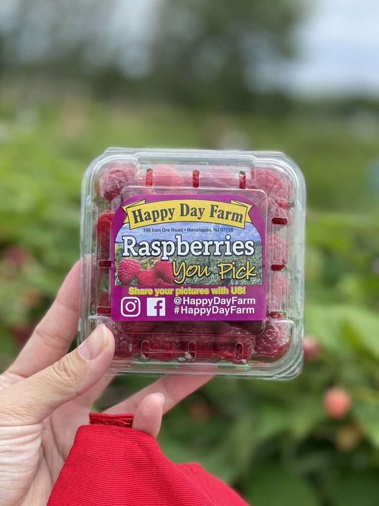 HAPPY DAY FARM 378 Photos & 161 Reviews Pumpkin Patches 106 Iron