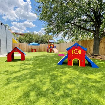 Wag'n World - This is their small & medium dog play yard. - Pet Boarding Near Me - Houston, Texas