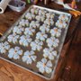 Photo of Baked by Patricia
