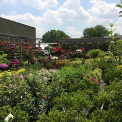 Centre Ridge Garden Center - Deceptively large lot with so many varieties of bushes, flowers, & trees!