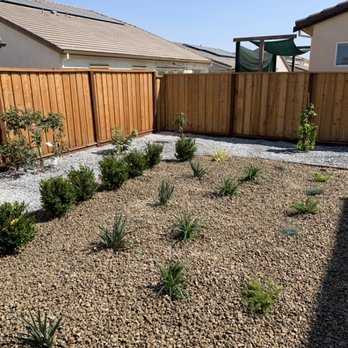 Three Lions Landscape - Landscape - Landscaping Near Me - Antioch, California Three Lions Landscape - Landscape - Landscaping Near Me - Antioch, California