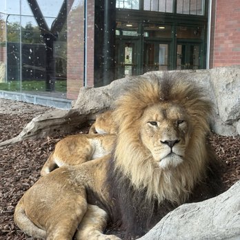 Lincoln Park Zoo - Zoos Near Me - Chicago, Illinois Lincoln Park Zoo - Zoos Near Me - Chicago, Illinois