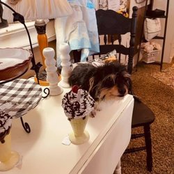 The Rusty Chandelier Vintage Market - Furniture, gifts
