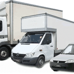 The Small Move Company