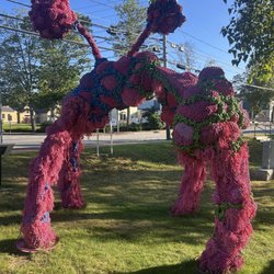 Town of Freeport - 'Pinkies' at Freeport Town Hall