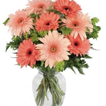 Scentaments Designs - Florists Near Me - Goodlettsville, Tennessee Scentaments Designs - Florists Near Me - Goodlettsville, Tennessee
