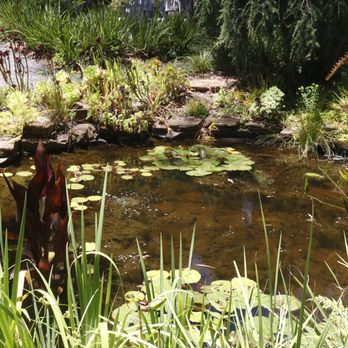 Western Hills Garden - Nurseries & Gardening Near Me - Occidental, California