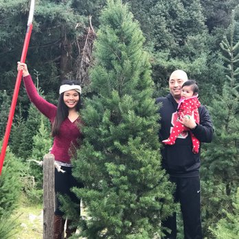 Peacock Tree Farm - Find your perfect tree here! Saws provided :) - Nurseries & Gardening Near Me - Los Gatos, California Peacock Tree Farm - Find your perfect tree here! Saws provided :) - Nurseries & Gardening Near Me - Los Gatos, California