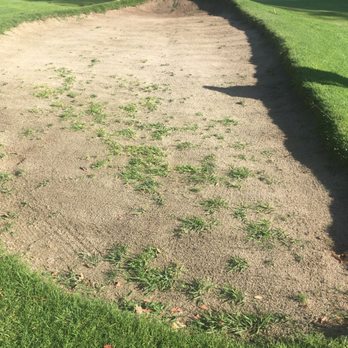 Willowick Golf Course - Sand bunker on hole 2 with lots of weeds. - Golf Near Me - Santa Ana, California Willowick Golf Course - Sand bunker on hole 2 with lots of weeds. - Golf Near Me - Santa Ana, California
