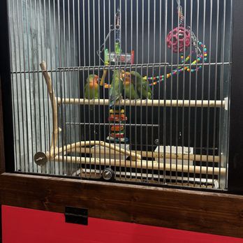 Polly's Pet Shop - Pet Stores Near Me - Universal City, Texas