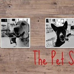 The Pet Spot