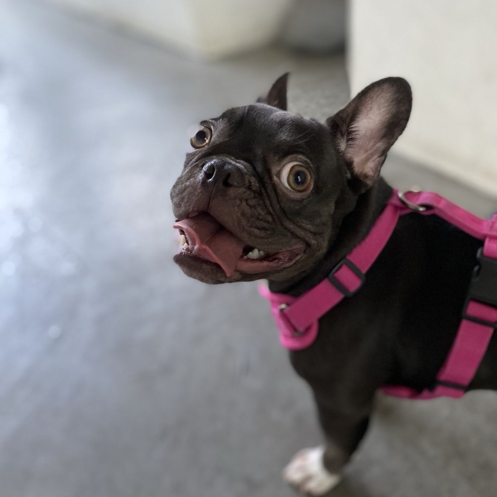 Happy Sofina after doctor visit Happy Sofina after doctor visit