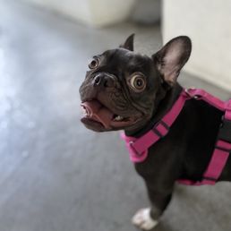 Happy Sofina after doctor visit