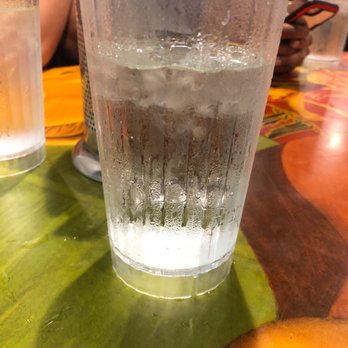 Cheeseburger In Paradise - Water - Burgers Near Me - Honolulu, Hawaii