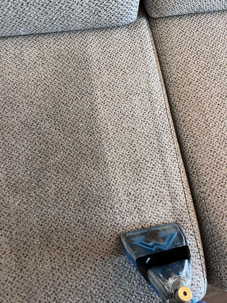 MONSTER STEAMER CARPET CLEANING Updated October 2024 478 Photos