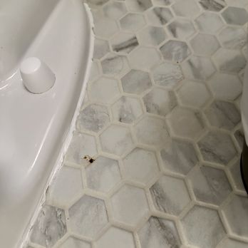 The Madison Hotel - Splatter of human waste, human hairs and dead bugs on floor next to toilet in my 2nd room. - Hotels Near Me - Morristown, New Jersey The Madison Hotel - Splatter of human waste, human hairs and dead bugs on floor next to toilet in my 2nd room. - Hotels Near Me - Morristown, New Jersey
