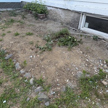 Red Fox Painting - Chips dropped and left - Painters Near Me Red Fox Painting - Chips dropped and left - Painters Near Me
