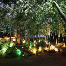 Dodo Lounge