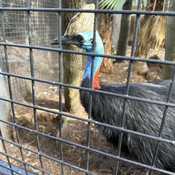 Featherdale Wildlife Park - Parks Near Me - Doonside, NSW Featherdale Wildlife Park - Parks Near Me - Doonside, NSW