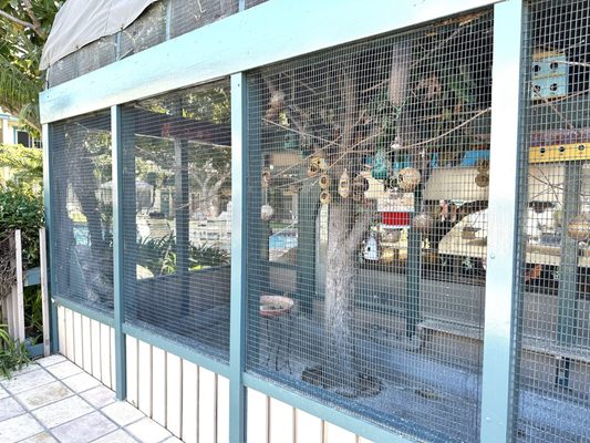 Live Oak Cafe by null