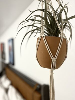 voco the Tuxon by IHG by null